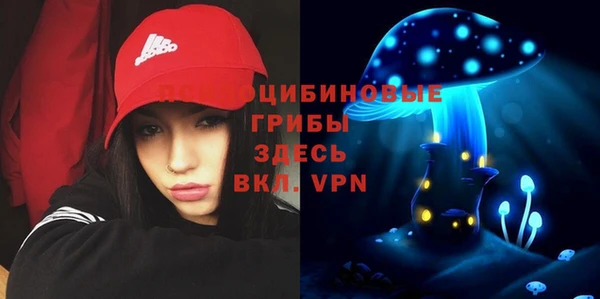 а пвп мука Алексеевка