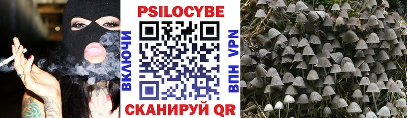 Галлюциногенные грибы прущие грибы  где продают   Сатка 